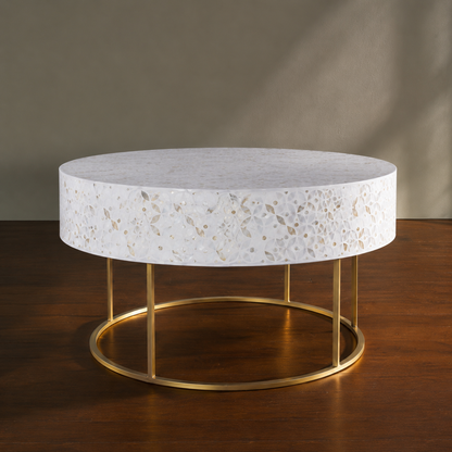 White Mother of Pearl Inlay Coffee Table in Modern Living Room